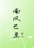 南风知我意电视剧免费看
